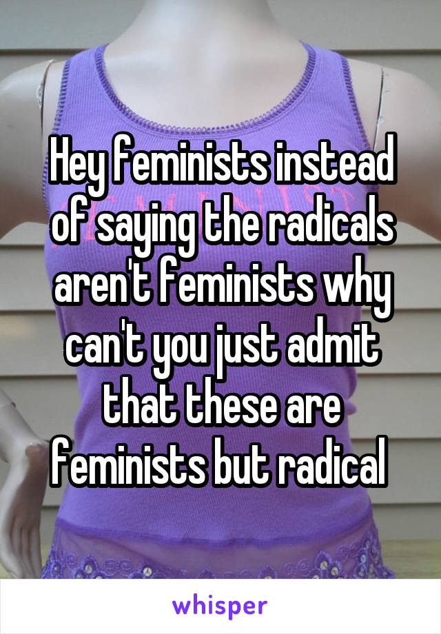 Hey feminists instead of saying the radicals aren't feminists why can't you just admit that these are feminists but radical 