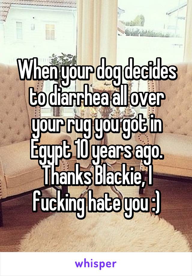 When your dog decides to diarrhea all over your rug you got in Egypt 10 years ago.
Thanks Blackie, I fucking hate you :)