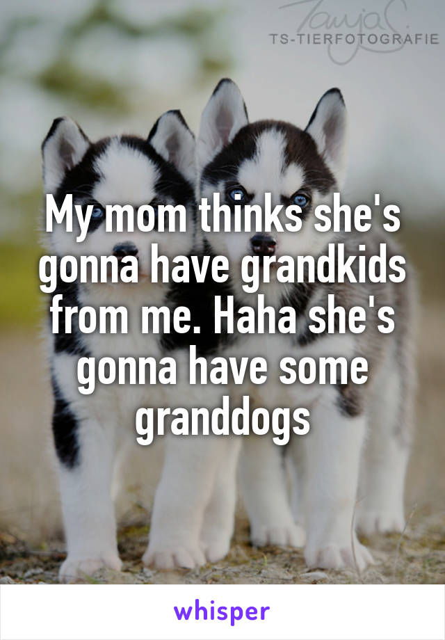 My mom thinks she's gonna have grandkids from me. Haha she's gonna have some granddogs