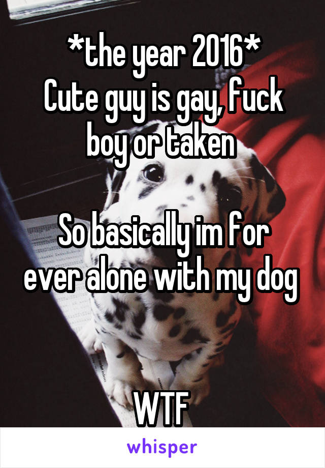 *the year 2016*
Cute guy is gay, fuck boy or taken 

So basically im for ever alone with my dog 


WTF 