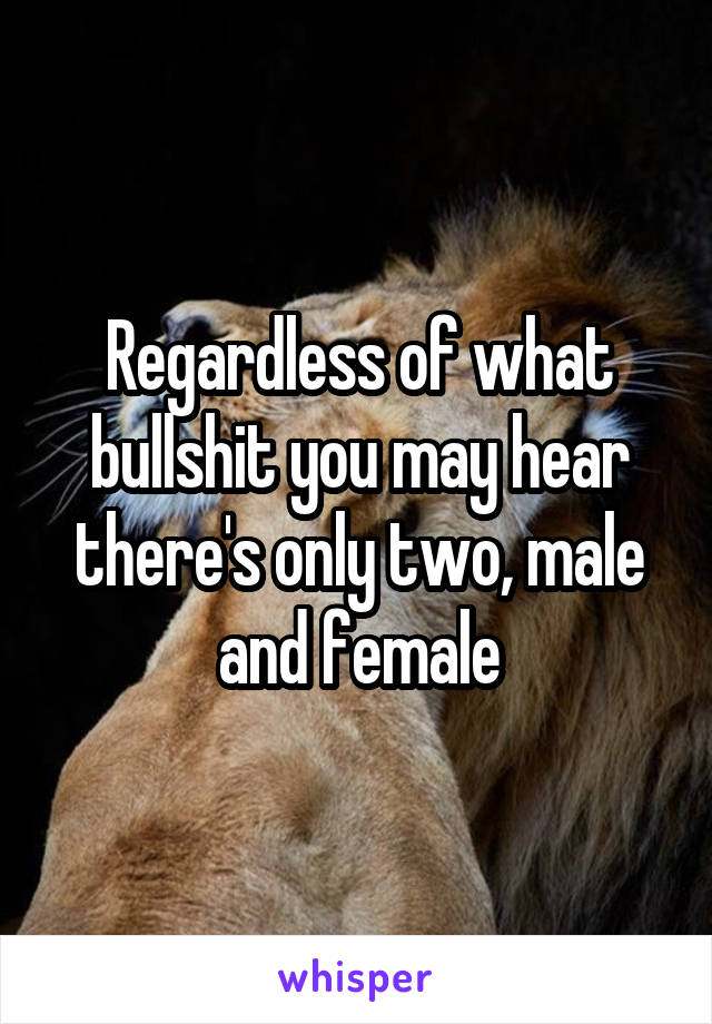 Regardless of what bullshit you may hear there's only two, male and female