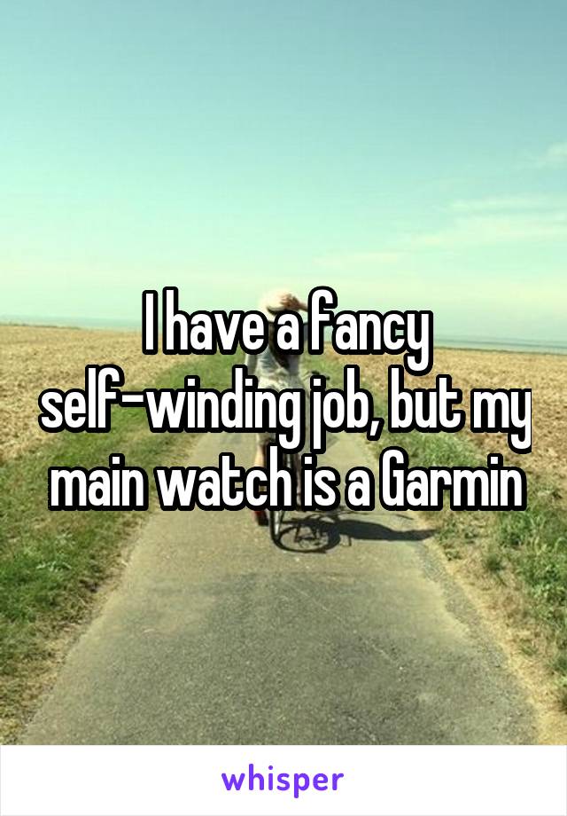 I have a fancy self-winding job, but my main watch is a Garmin