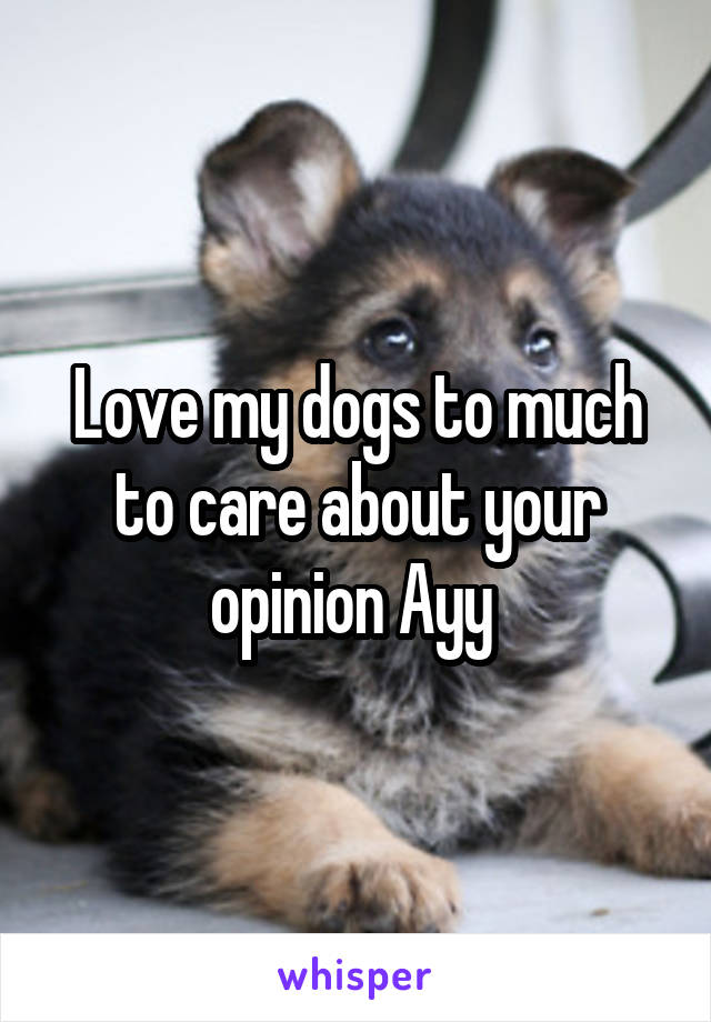 Love my dogs to much to care about your opinion Ayy 