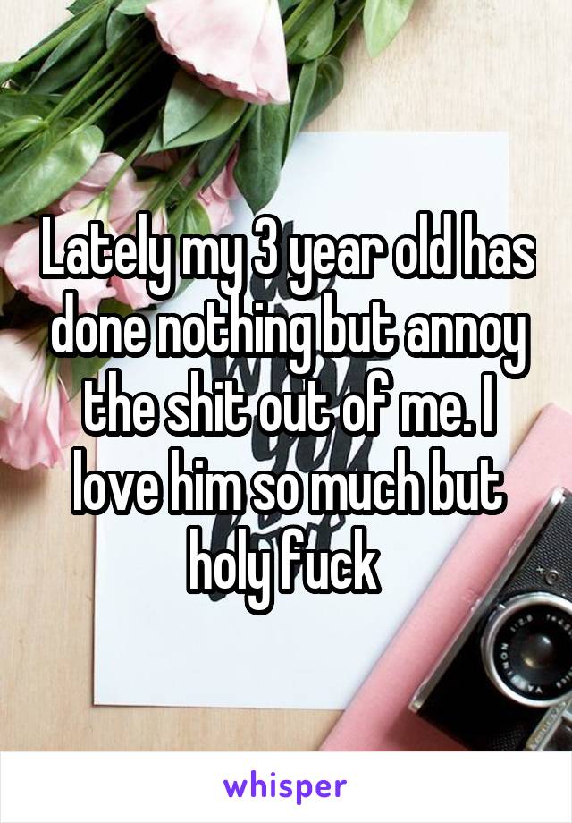 Lately my 3 year old has done nothing but annoy the shit out of me. I love him so much but holy fuck 