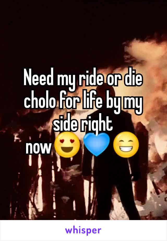 Need my ride or die cholo for life by my side right now😍💙😁