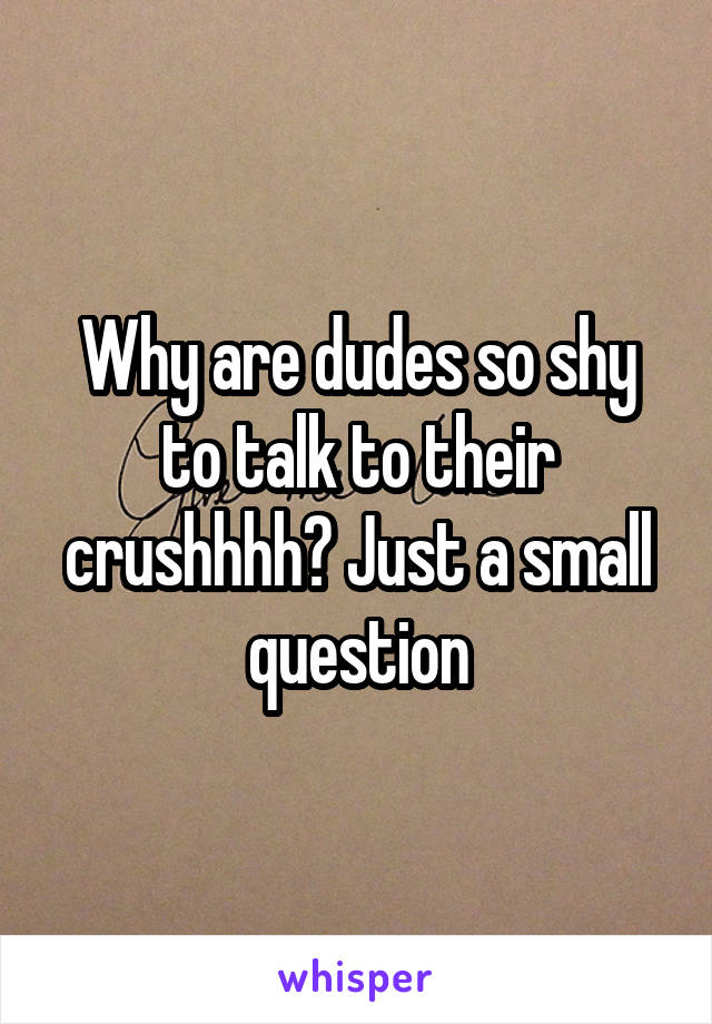 Why are dudes so shy to talk to their crushhhh? Just a small question