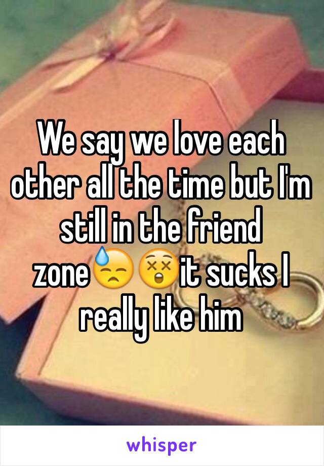 We say we love each other all the time but I'm still in the friend zone😓😲it sucks I really like him