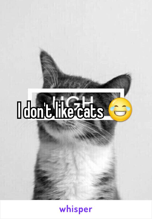 I don't like cats 😂