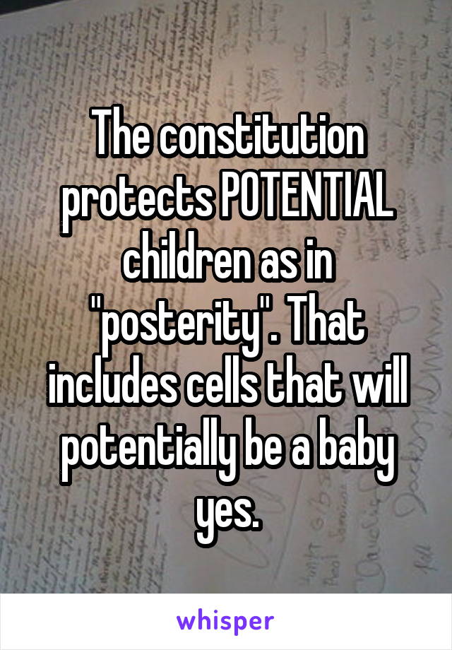 The constitution protects POTENTIAL children as in "posterity". That includes cells that will potentially be a baby yes.