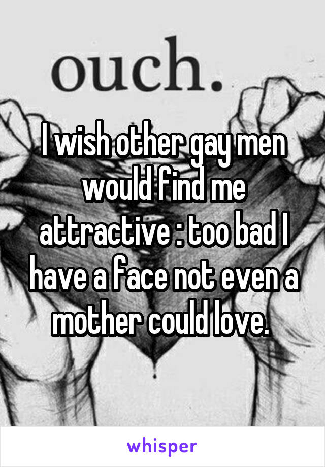 I wish other gay men would find me attractive :\ too bad I have a face not even a mother could love. 