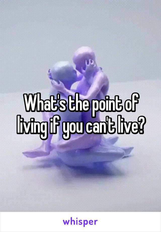 What's the point of living if you can't live?