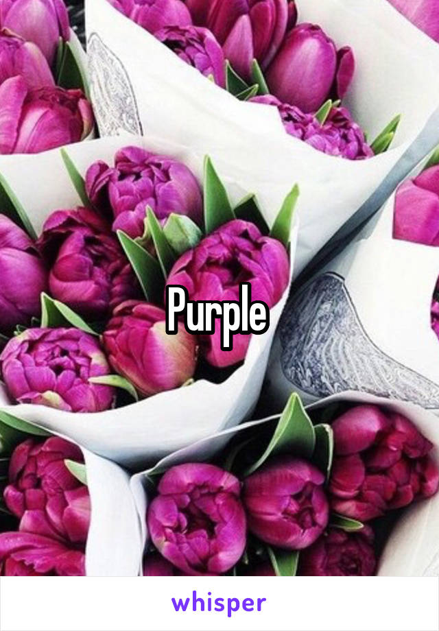 Purple 