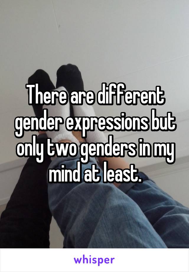 There are different gender expressions but only two genders in my mind at least.