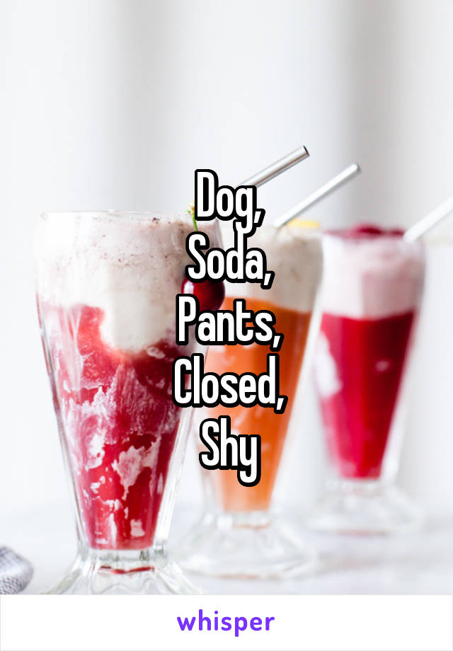 Dog,
Soda,
Pants,
Closed,
Shy