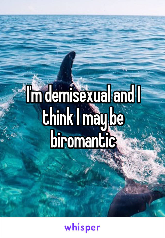 I'm demisexual and I think I may be biromantic