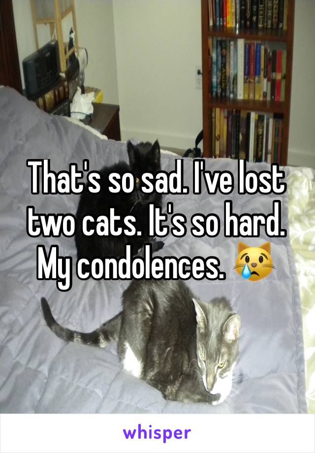 That's so sad. I've lost two cats. It's so hard.  My condolences. 😿