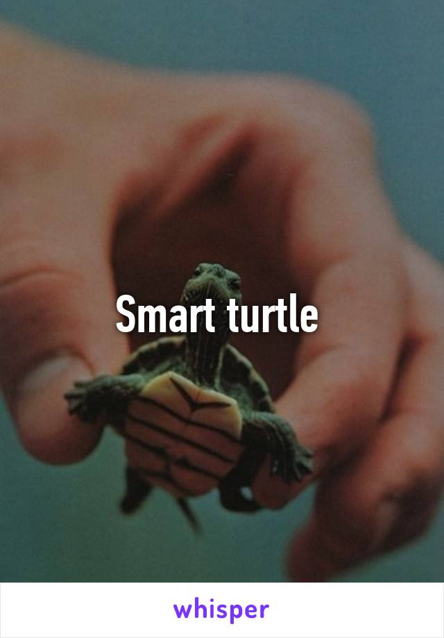 Smart turtle 