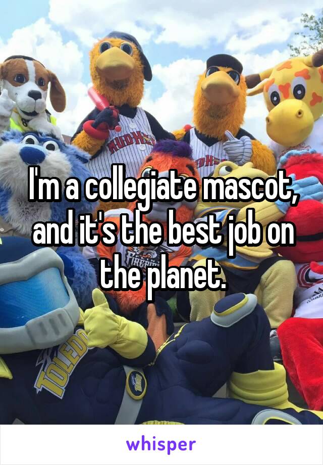 I'm a collegiate mascot, and it's the best job on the planet.