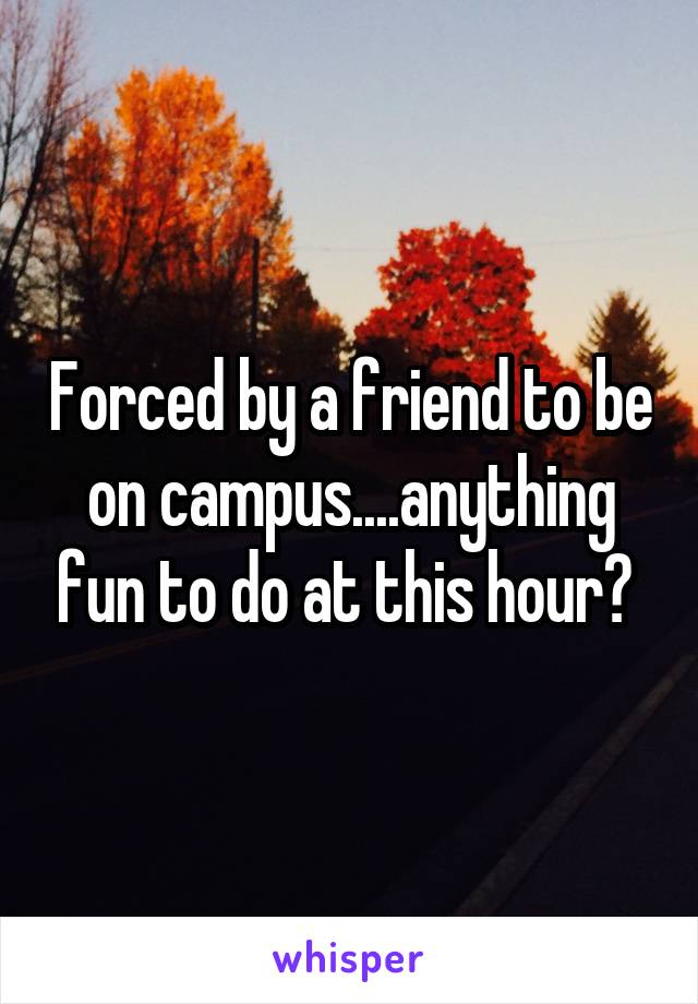 Forced by a friend to be on campus....anything fun to do at this hour? 