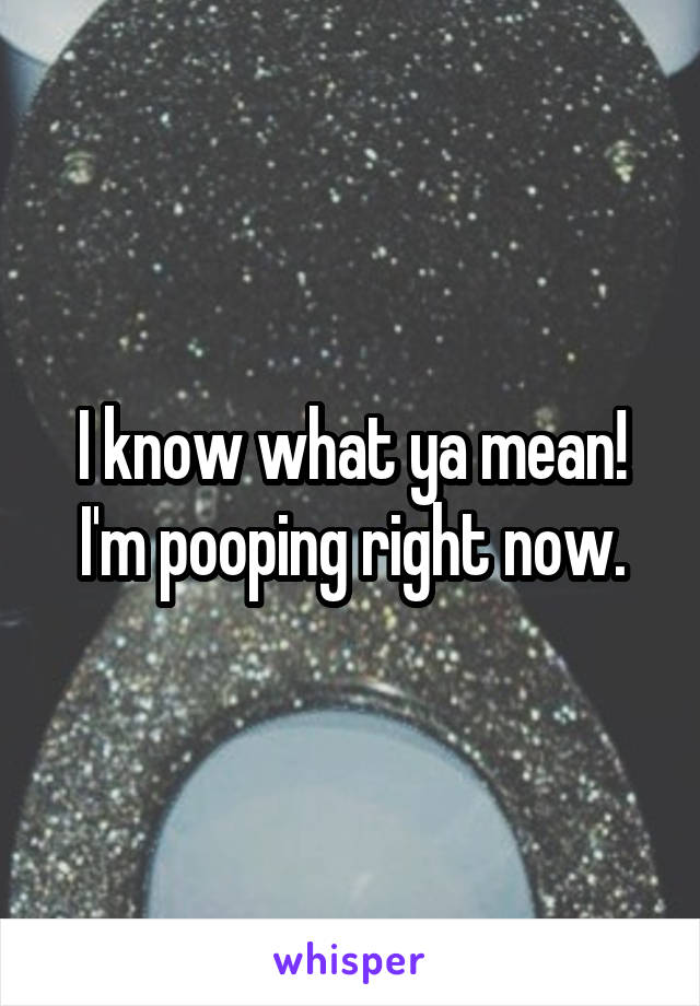 I know what ya mean! I'm pooping right now.