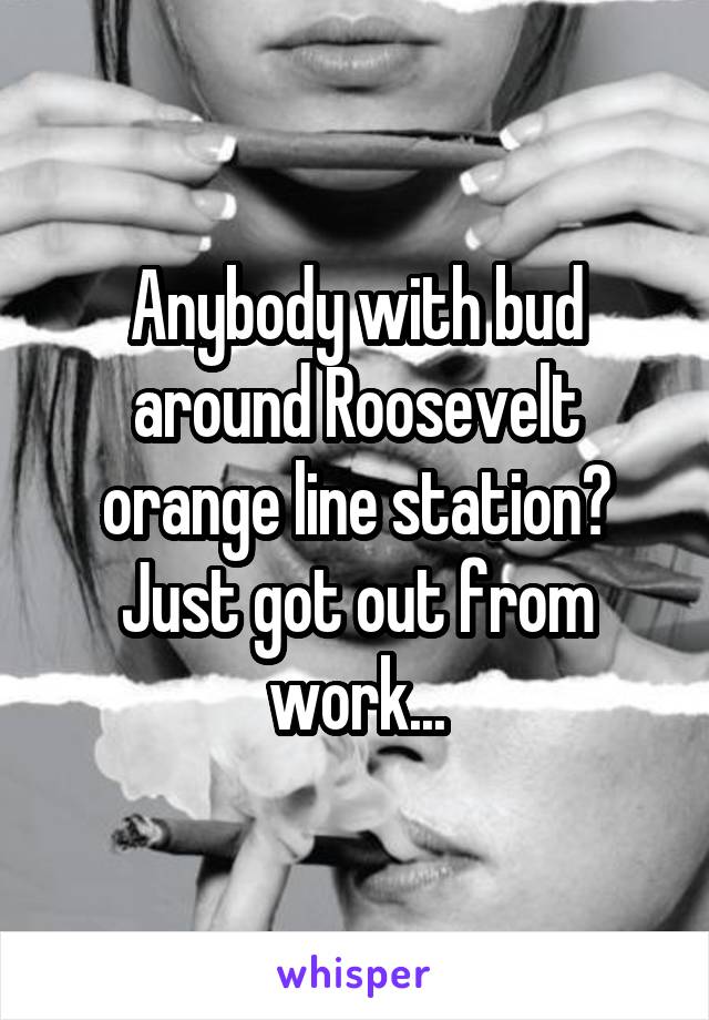 Anybody with bud around Roosevelt orange line station? Just got out from work...