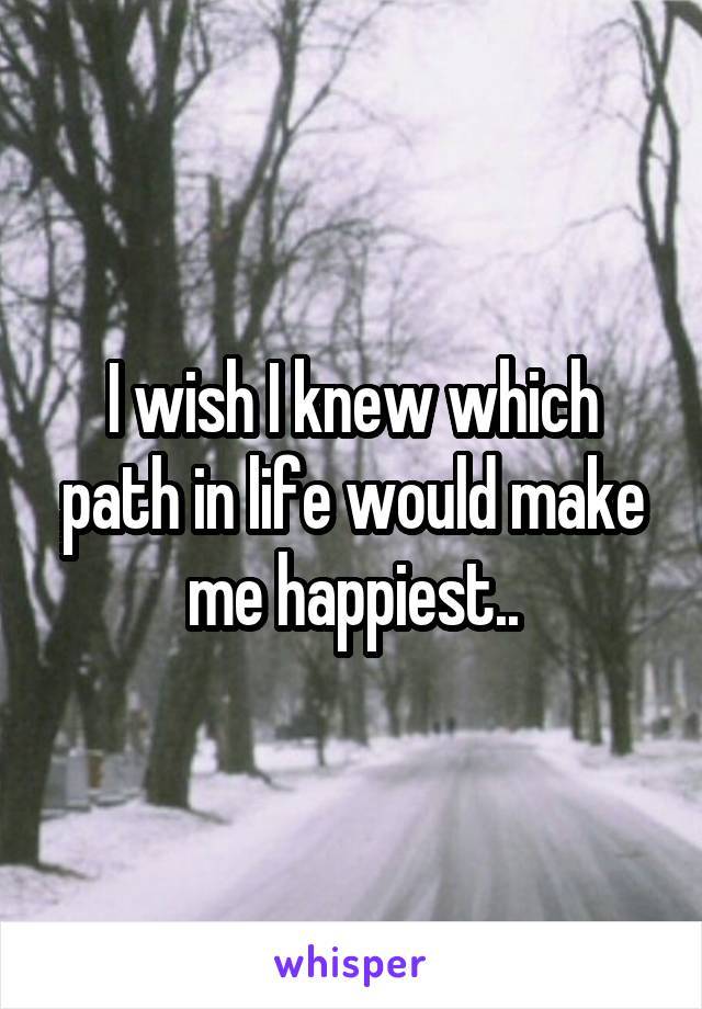 I wish I knew which path in life would make me happiest..