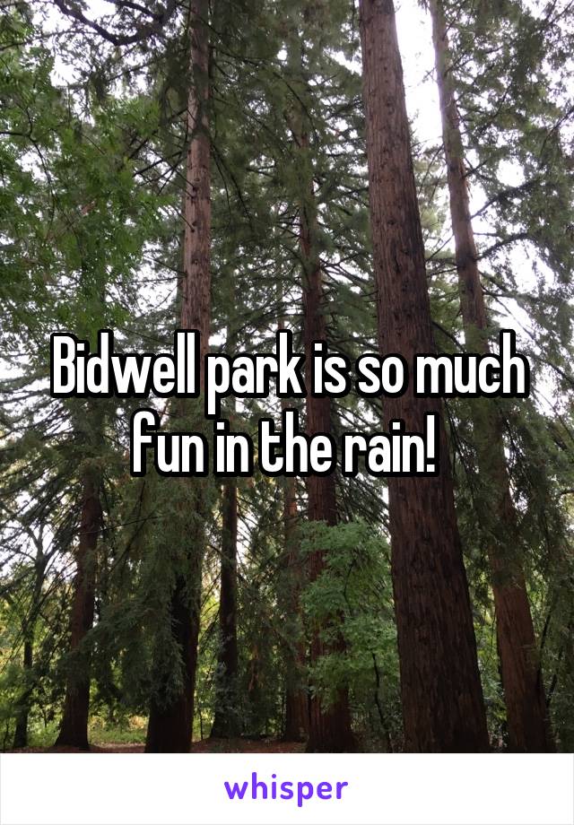 Bidwell park is so much fun in the rain! 