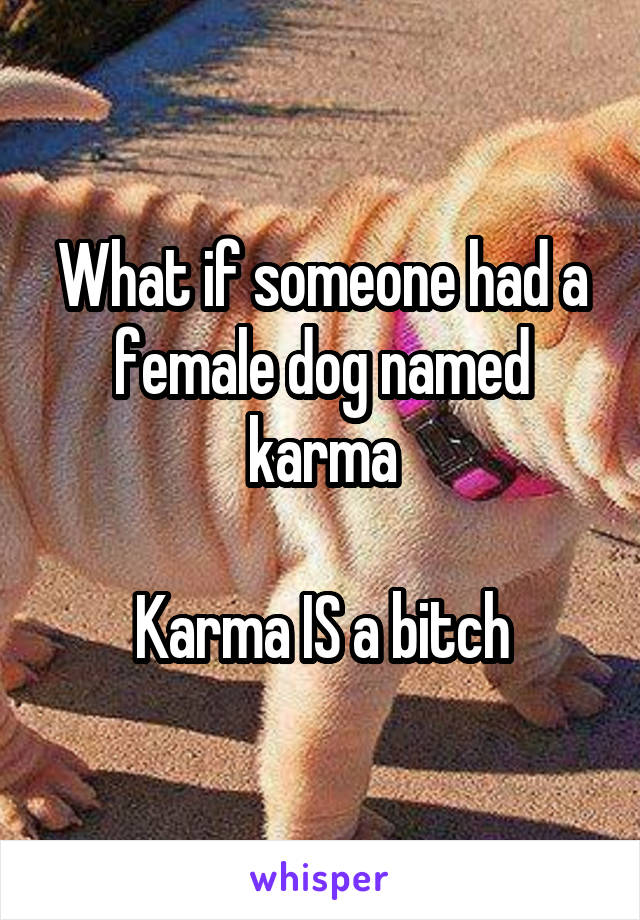 What if someone had a female dog named karma

Karma IS a bitch