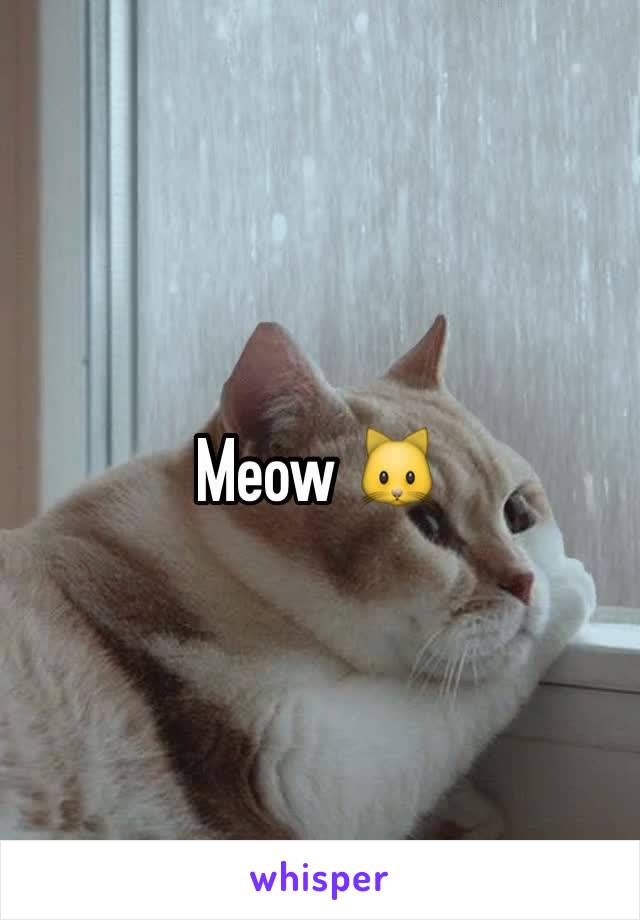 Meow 🐱 