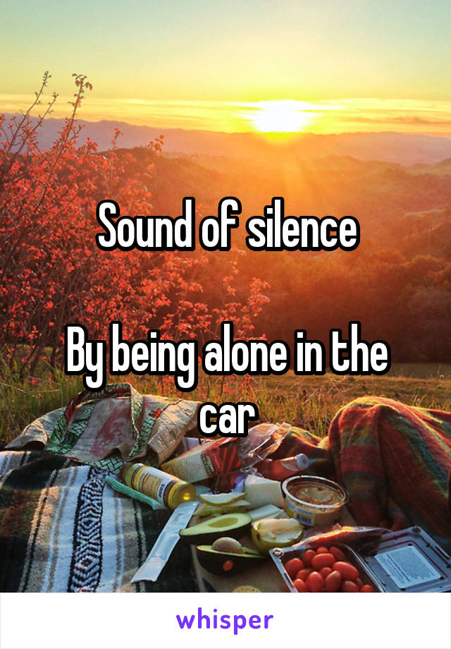 Sound of silence

By being alone in the car