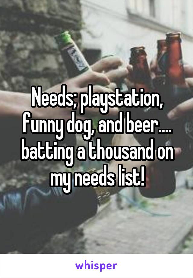 Needs; playstation, funny dog, and beer.... batting a thousand on my needs list!