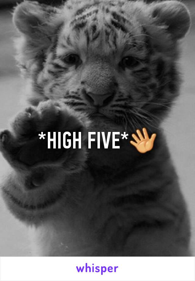 *HIGH FIVE*👋