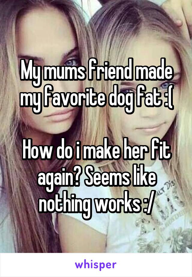 My mums friend made my favorite dog fat :(

How do i make her fit again? Seems like nothing works :/