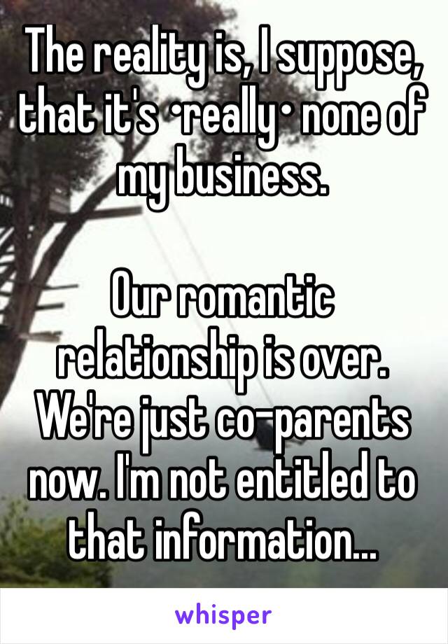 The reality is, I suppose, that it's •really• none of my business.

Our romantic relationship is over. We're just co-parents now. I'm not entitled to that information...