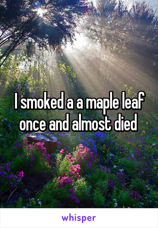 I smoked a a maple leaf once and almost died 