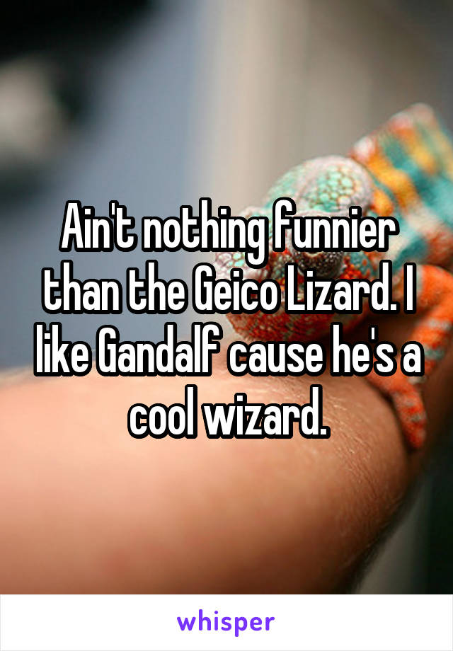 Ain't nothing funnier than the Geico Lizard. I like Gandalf cause he's a cool wizard.