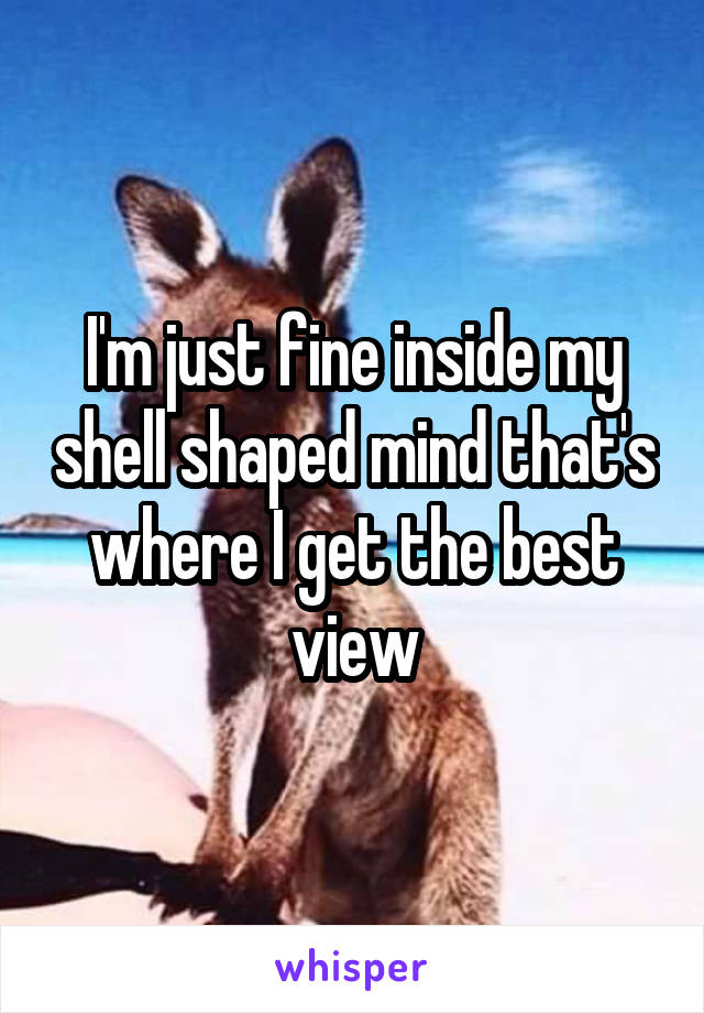 I'm just fine inside my shell shaped mind that's where I get the best view