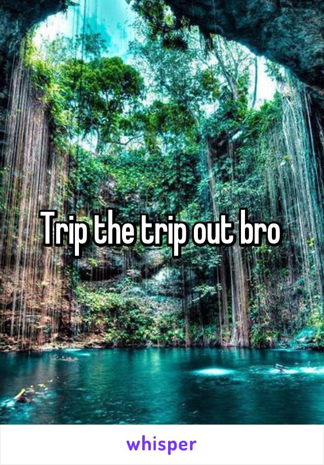 Trip the trip out bro 