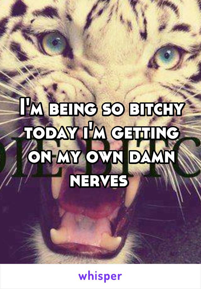 I'm being so bitchy today i'm getting on my own damn nerves 