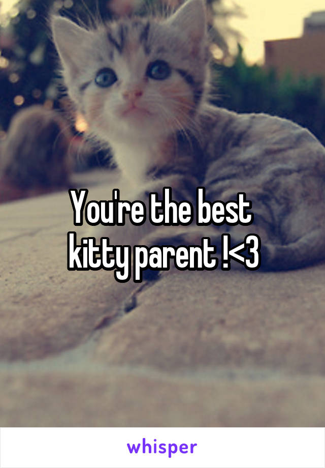 You're the best 
kitty parent !<3