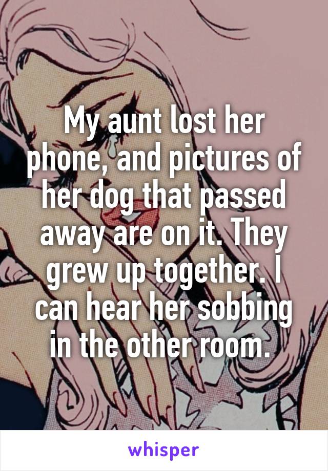 My aunt lost her phone, and pictures of her dog that passed away are on it. They grew up together. I can hear her sobbing in the other room. 