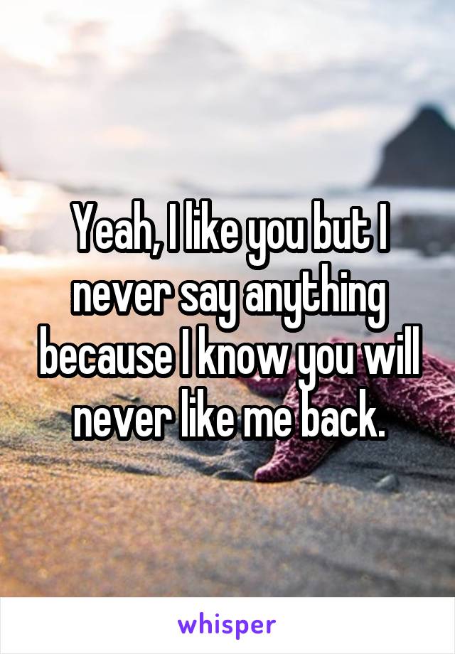 Yeah, I like you but I never say anything because I know you will never like me back.