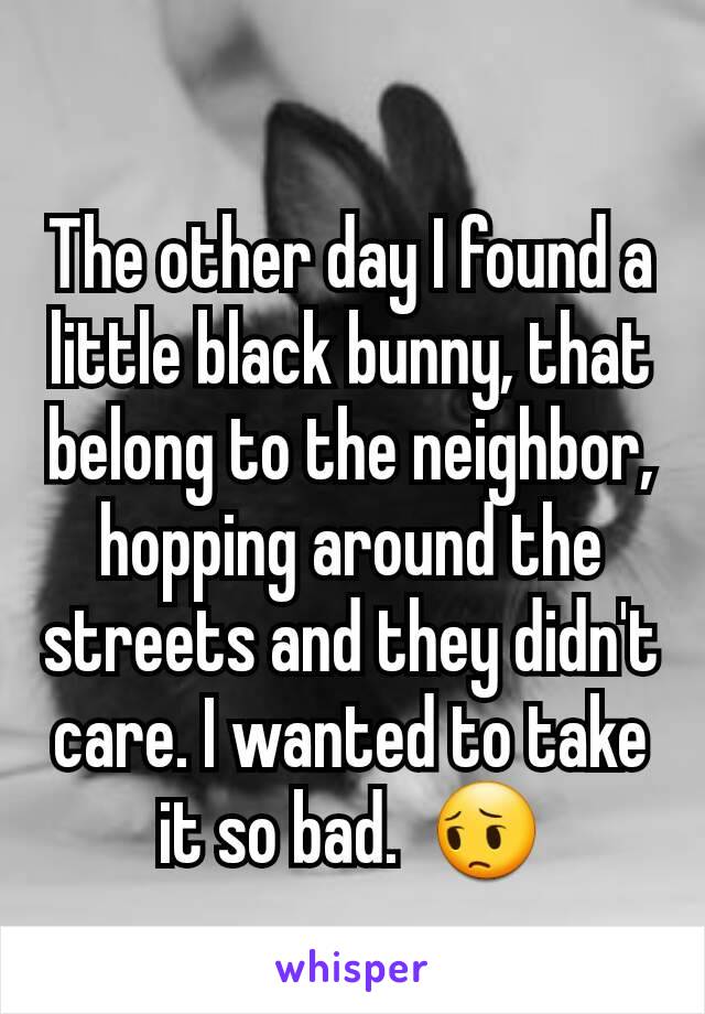 The other day I found a little black bunny, that belong to the neighbor, hopping around the streets and they didn't care. I wanted to take it so bad.  😔