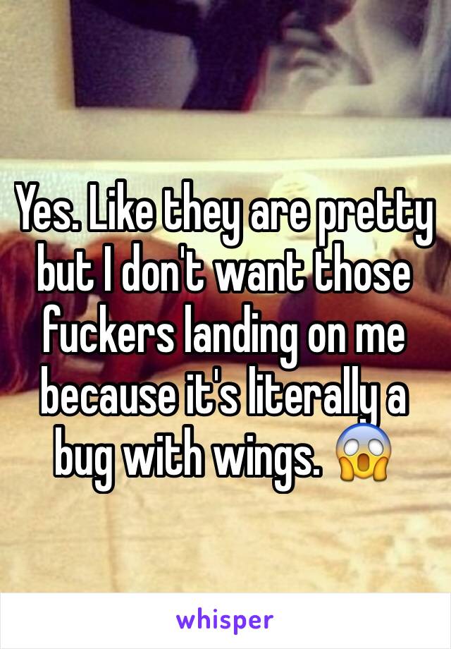 Yes. Like they are pretty but I don't want those fuckers landing on me because it's literally a bug with wings. 😱