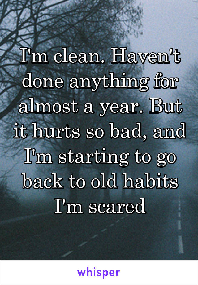 I'm clean. Haven't done anything for almost a year. But it hurts so bad, and I'm starting to go back to old habits
I'm scared
