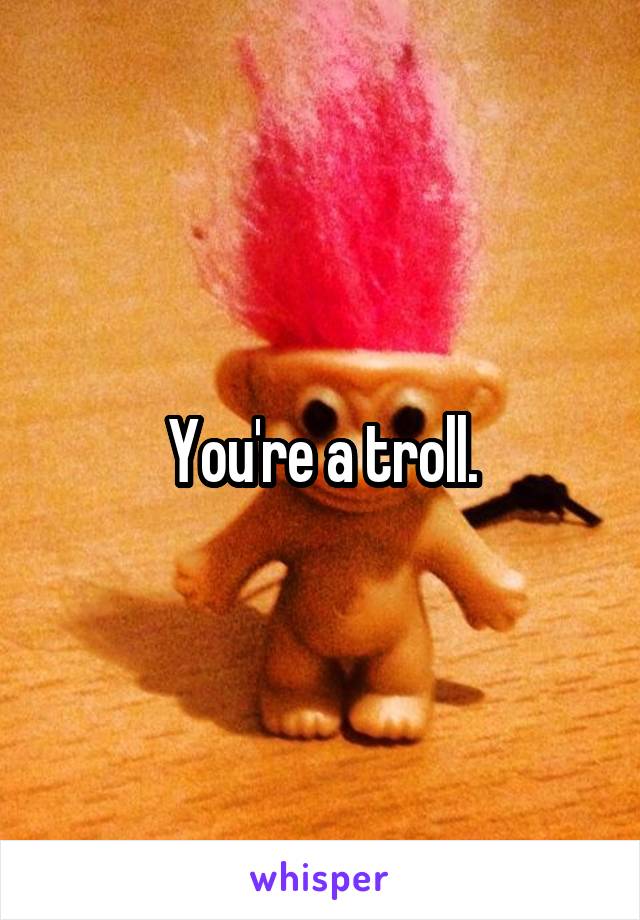 You're a troll.