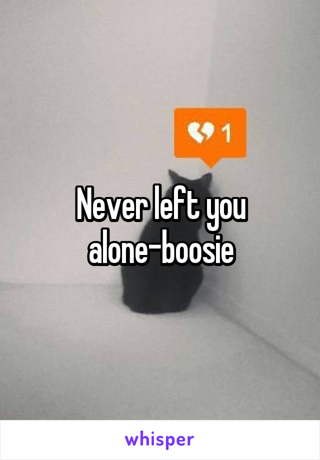 Never left you alone-boosie