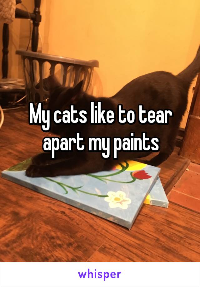 My cats like to tear apart my paints
