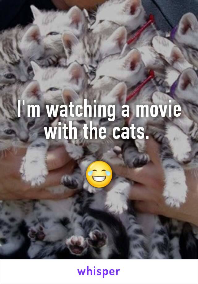 I'm watching a movie with the cats. 

😂