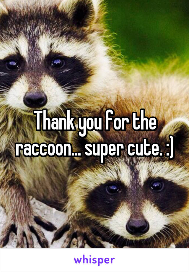 Thank you for the raccoon... super cute. :)